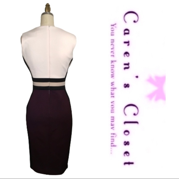 Calvin Klein Purple & Cream Scuba Sleeveless Sheath Dress - Picture 8 of 8